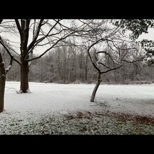 Meet your Posher, Shari